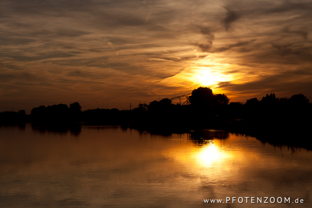 20120817-Pfotenzoom-5.jpg