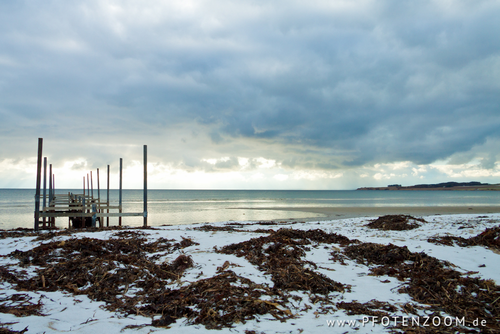 20130220-Pfotenzoom-4.jpg